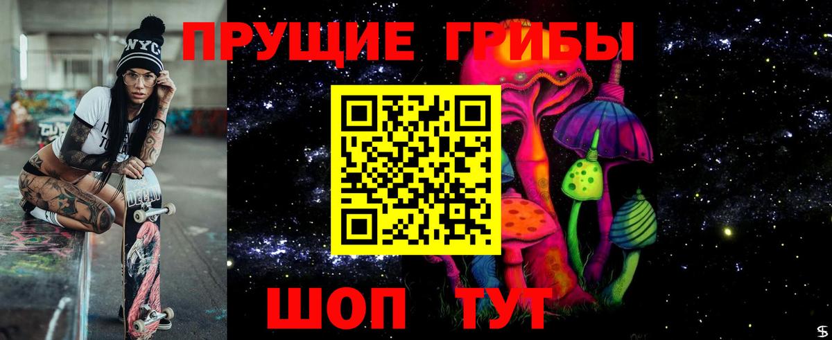 Псилоцибиновые грибы Cubensis Семилуки